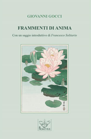 copertina Frammenti di anima