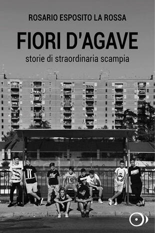 copertina Fiori d'agave. Storie di straordinaria Scampia