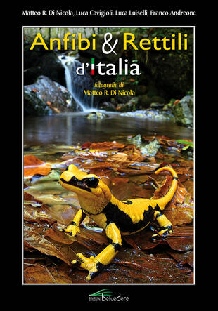 copertina Anfibi & rettili d'Italia