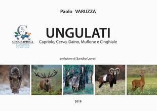 copertina Ungulati. Capriolo, cervo, daino, muflone e cinghiale