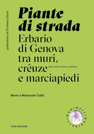 copertina Piante di strada. Erbario di Genova tra muri, crêuze e marciapiedi. Ediz. illustrata