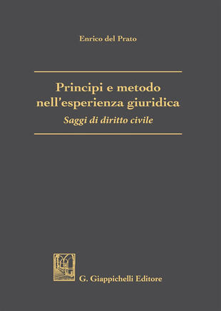 copertina Principi e metodo nell'esperienza giuridica. Saggi di diritto civile