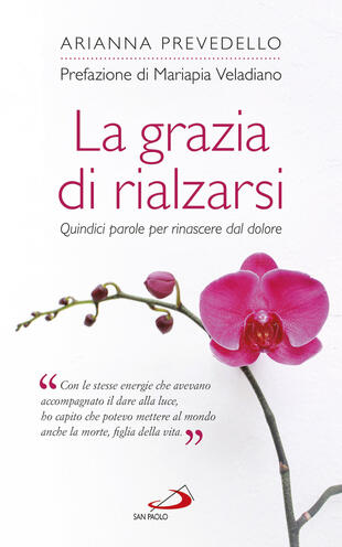 copertina La grazia di rialzarsi. Quindici parole per rinascere dal dolore