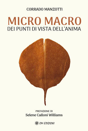 copertina Micro macro. Dei punti di vista dell'anima