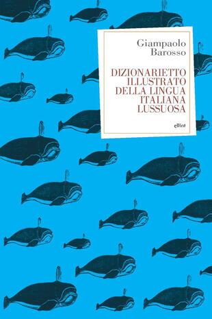 copertina Dizionarietto illustrato della lingua italiana lussuosa