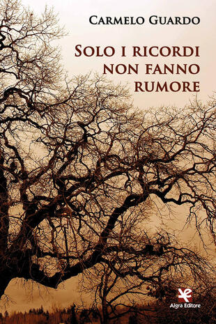 copertina Solo i ricordi non fanno rumore