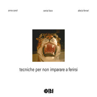 copertina Tecniche per non imparare a ferirsi
