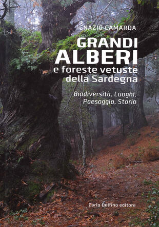 copertina Grandi alberi e foreste vetuste della Sardegna. Biodiversità, luoghi, paesaggio, storia. Ediz. illustrata