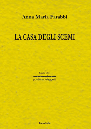 copertina La casa degli scemi