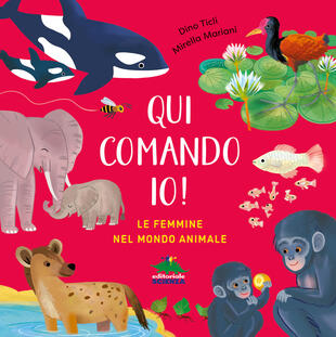 copertina Qui comando io! Le femmine nel mondo animale. Ediz. a colori