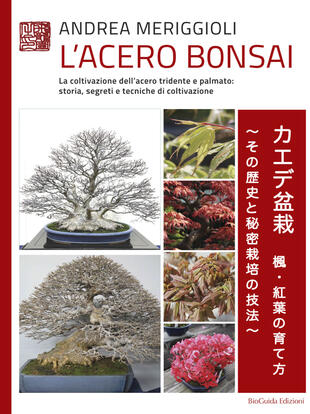 copertina L' acero bonsai. La coltivazione dell'acero tridente e palmato: storia, segreti e tecniche di coltivazione