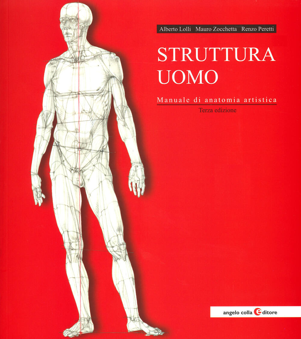 Struttura uomo. Manuale di anatomia artistica di Lolli Alberto - Il Libraio