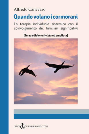 copertina Quando volano i cormorani. Terapia individuale sistemica con il coinvolgimento dei familiari significativi. Ediz. ampliata