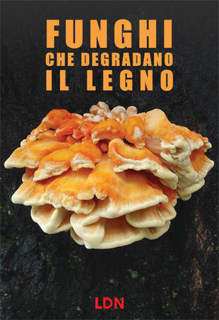 copertina Funghi che degradano il legno. Dinamiche di azione e conseguenze per gli alberi in ambiente forestale e urbano