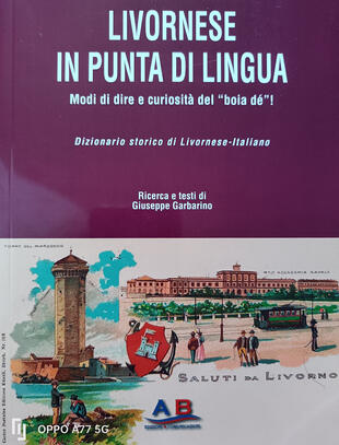 copertina Livornese in punta di lingua. Modi di dire e curiosità del «boia dé»