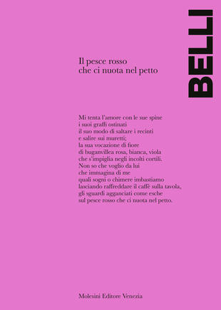 copertina Il pesce rosso che ci nuota nel petto