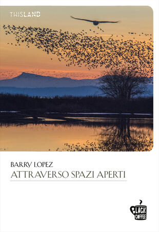 copertina Attraverso spazi aperti