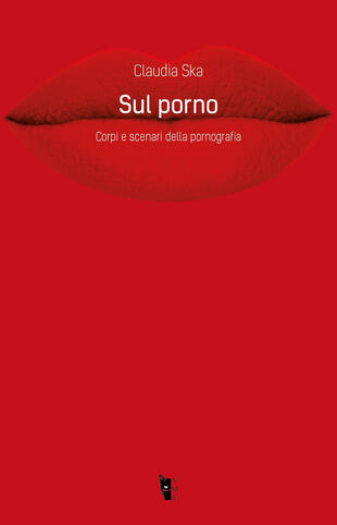 copertina Sul porno. Corpi e scenari della pornografia
