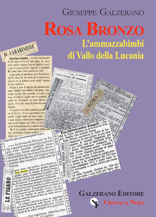 copertina Rosa Bronzo. L'ammazzabimbi di Vallo della Lucania
