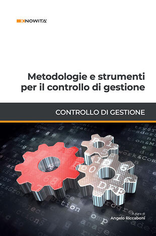 copertina Metodologie e strumenti per il controllo di gestione