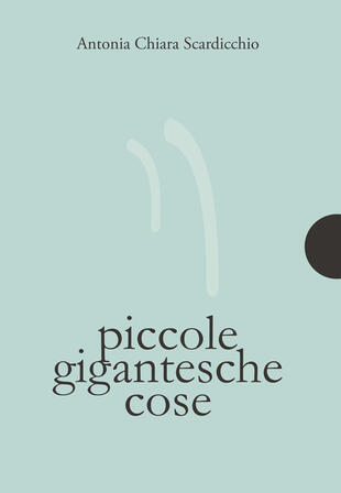 copertina Piccole gigantesche cose