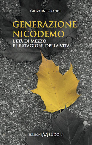 copertina Generazione Nicodemo. L'età di mezzo e le stagioni della vita