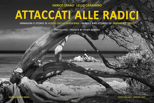 copertina Attaccati alle radici. Ediz. italiana e inglese