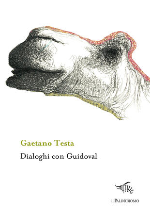 copertina Dialoghi con Guidoval