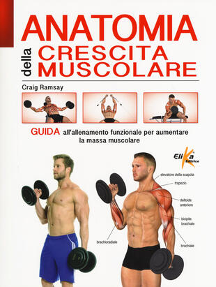 copertina Anatomia della crescita muscolare. Guida all'allenamento funzionale per aumentare la massa muscolare. Ediz. illustrata