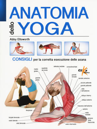 copertina Anatomia dello yoga. Consigli per la corretta esecuzione delle asana. Ediz. a colori