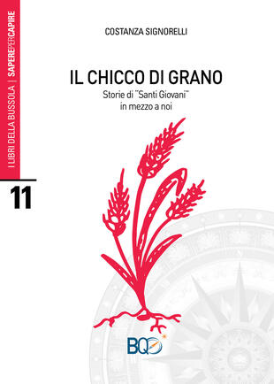 copertina Il chicco di grano. Storie di «santi giovani» in mezzo a noi