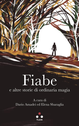 copertina Fiabe e altre storie di ordinaria magia