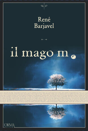 copertina Il mago M.