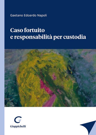 copertina Caso fortuito e responsabilità per custodia