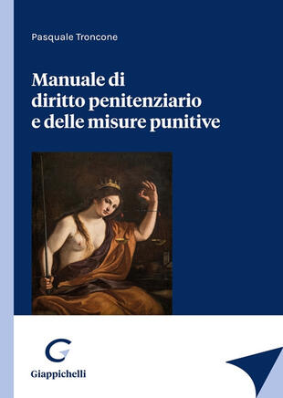 copertina Manuale di diritto penitenziario e delle misure punitive