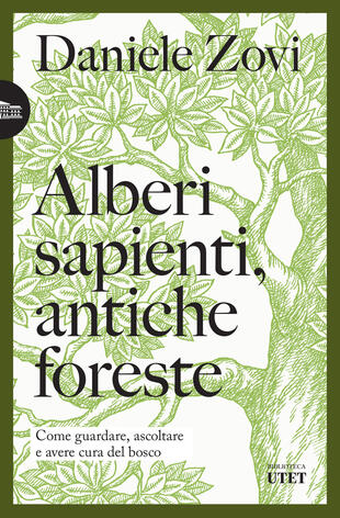 copertina Alberi sapienti, antiche foreste. Come guardare, ascoltare e avere cura del bosco