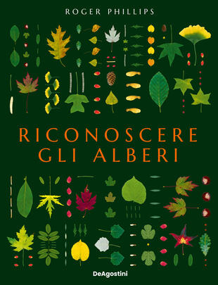 copertina Riconoscere gli alberi. Ediz. a colori