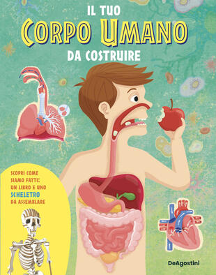 copertina Il tuo corpo umano da costruire. Con scheletro da assemblare