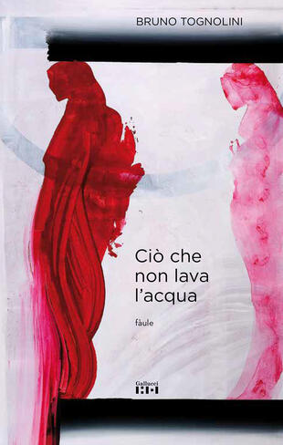 copertina Ciò che non lava l'acqua