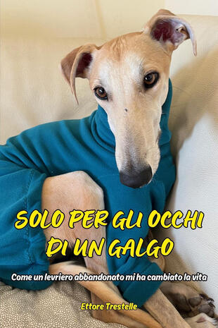copertina Solo per occhi di un galgo. Come un levriero abbandonato mi ha cambiato la vita