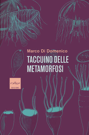 copertina Taccuino delle metamorfosi