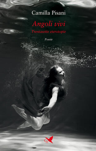 copertina Angoli vivi. Trentasette eterotopìe
