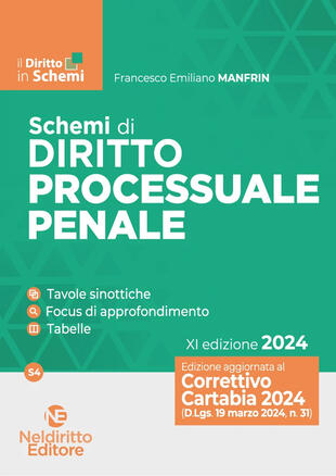 copertina Schemi di diritto processuale penale