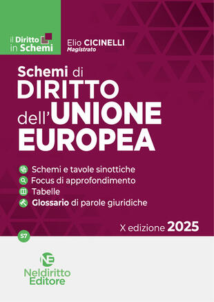 copertina Schemi di diritto dell'Unione Europea. Nuova ediz.