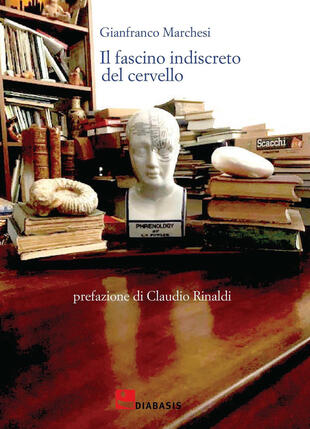 copertina Il fascino indiscreto del cervello