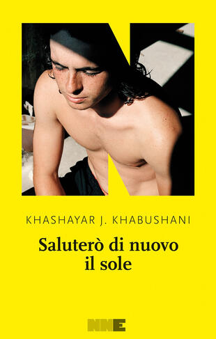 copertina Saluterò di nuovo il sole
