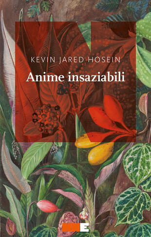 copertina Anime insaziabili