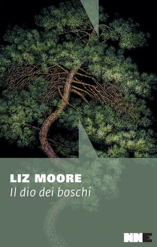 copertina Il dio dei boschi