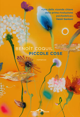 copertina Piccole cose