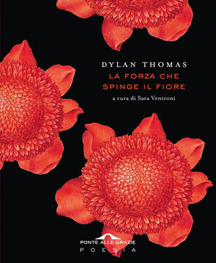 copertina La forza che spinge il fiore